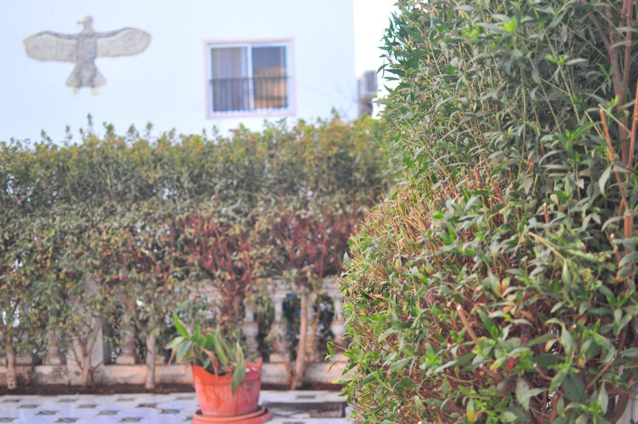 Morning Star Guesthouse 沙姆沙伊赫 外观 照片